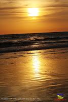 Playa Manzanillo -Cóbano de Puntarenas, Puntarenas- Playa Manzanillo -Cóbano de Puntarenas, Puntarenas-