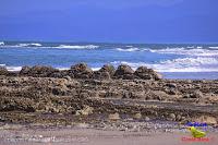 Playa Manzanillo -Cóbano de Puntarenas, Puntarenas- Playa Manzanillo -Cóbano de Puntarenas, Puntarenas-