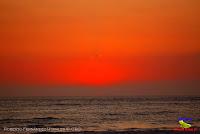 Playa Manzanillo -Cóbano de Puntarenas, Puntarenas- Playa Manzanillo -Cóbano de Puntarenas, Puntarenas-