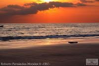 Playa Manzanillo -Cóbano de Puntarenas, Puntarenas- Playa Manzanillo -Cóbano de Puntarenas, Puntarenas-