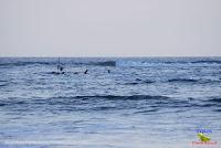 Playa Manzanillo -Cóbano de Puntarenas, Puntarenas- Playa Manzanillo -Cóbano de Puntarenas, Puntarenas-