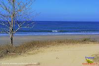 Playa Manzanillo -Cóbano de Puntarenas, Puntarenas- Playa Manzanillo -Cóbano de Puntarenas, Puntarenas-
