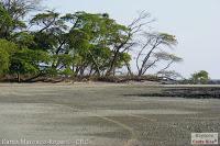 Playa Manzanillo -Cóbano de Puntarenas, Puntarenas- Playa Manzanillo -Cóbano de Puntarenas, Puntarenas-