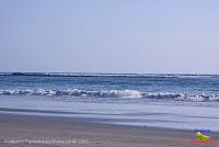 Playa Manzanillo -Cóbano de Puntarenas, Puntarenas- Playa Manzanillo -Cóbano de Puntarenas, Puntarenas-