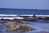 Playa Manzanillo -Cóbano de Puntarenas, Puntarenas- Playa Manzanillo -Cóbano de Puntarenas, Puntarenas-