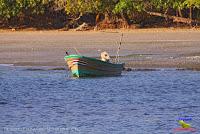 Playa Manzanillo -Cóbano de Puntarenas, Puntarenas- Playa Manzanillo -Cóbano de Puntarenas, Puntarenas-