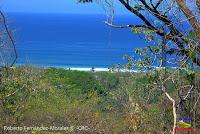 Playa Manzanillo -Cóbano de Puntarenas, Puntarenas- Playa Manzanillo -Cóbano de Puntarenas, Puntarenas-