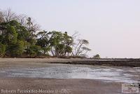 Playa Manzanillo -Cóbano de Puntarenas, Puntarenas- Playa Manzanillo -Cóbano de Puntarenas, Puntarenas-