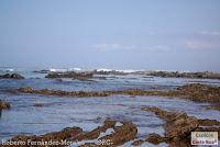 Playa Manzanillo -Cóbano de Puntarenas, Puntarenas- Playa Manzanillo -Cóbano de Puntarenas, Puntarenas-