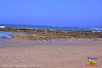 Playa Manzanillo -Cóbano de Puntarenas, Puntarenas- Playa Manzanillo -Cóbano de Puntarenas, Puntarenas-