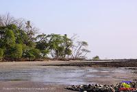 Playa Manzanillo -Cóbano de Puntarenas, Puntarenas- Playa Manzanillo -Cóbano de Puntarenas, Puntarenas-