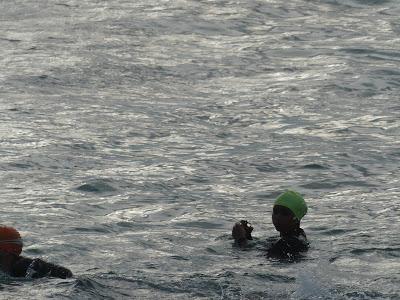 4 x 1000 Sailfish en Badalona . 4 x 1000 Sailfish en Badalona .