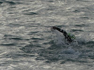 4 x 1000 Sailfish en Badalona . 4 x 1000 Sailfish en Badalona .