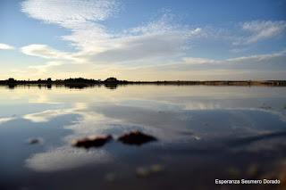 HUMEDALES DE LA MANCHA - LAGUNAS DE VILLAFRANCA DE LOS CABALLEROS