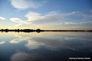 HUMEDALES DE LA MANCHA - LAGUNAS DE VILLAFRANCA DE LOS CABALLEROS