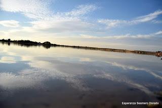 HUMEDALES DE LA MANCHA - LAGUNAS DE VILLAFRANCA DE LOS CABALLEROS