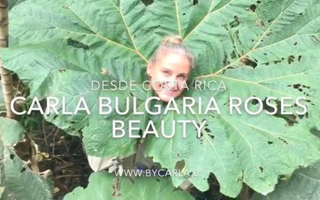 Video Blog desde Costa Rica image