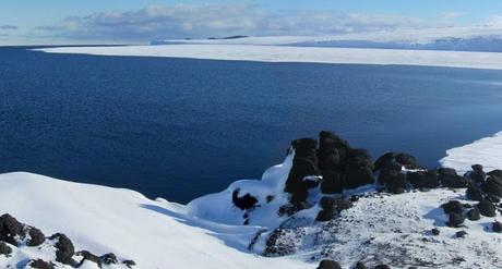 Por fin la Antártida posee la mayor Área Marina Protegida del Planeta