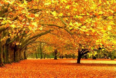 La playlist de Popelera #4 Playlist 4