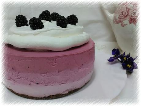 TARTA  DEGRADADA DE MORAS,  PITAYA y FRAMBUESA.