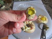 Huevos de codorniz en molde  de patatas, beicon y champiñones