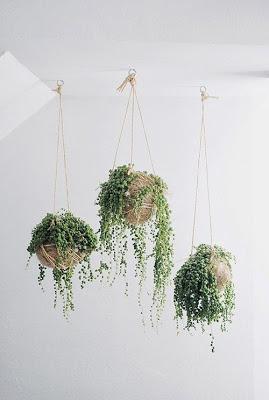 OPCIONES DIEZ PARA DECORAR CON PLANTAS COLGADAS...