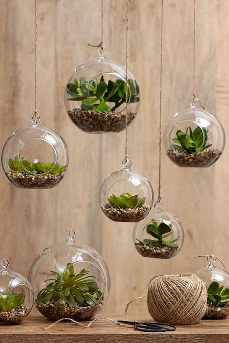 OPCIONES DIEZ PARA DECORAR CON PLANTAS COLGADAS...