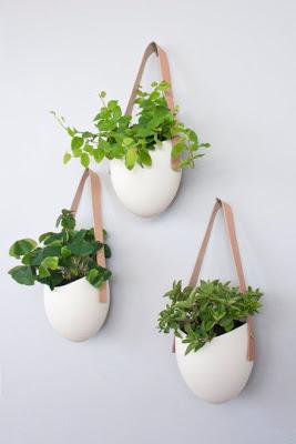 OPCIONES DIEZ PARA DECORAR CON PLANTAS COLGADAS...