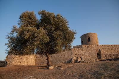 Jimena de la Frontera (Cádiz)