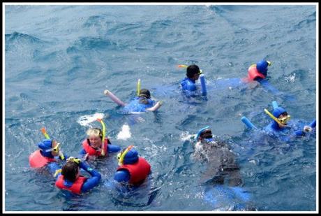 snorkel en australia