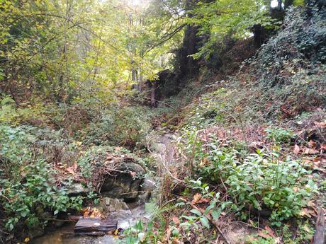 El Castañar de Casillas | Ruta senderista