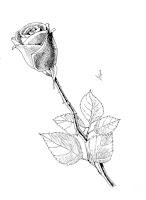 Reseña: Con cuatro rosas | Juan Carlos Valero Reseña: Con cuatro rosas | Juan Carlos Valero