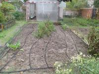 PREPARANDO LA SIEMBRA DE OTOÑO