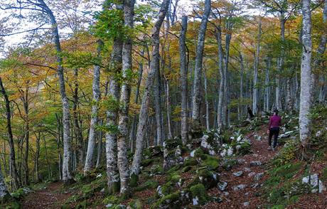 MONTE TUZO Y MAYAOS DEL GUMIAL Y FUENTES MONTE TUZO Y MAYAOS DEL GUMIAL Y FUENTES