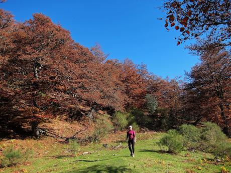 MONTE TUZO Y MAYAOS DEL GUMIAL Y FUENTES MONTE TUZO Y MAYAOS DEL GUMIAL Y FUENTES