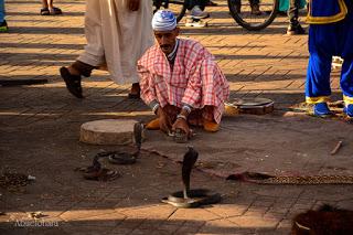 4 días en Marrakech