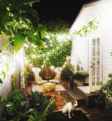 softly-glowing-backyard-warm-welcoming-thanks-large