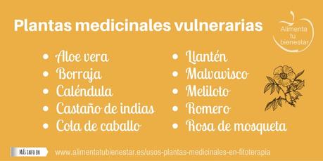 Usos de las plantas medicinales en fitoterapia Usos de las plantas medicinales en fitoterapia