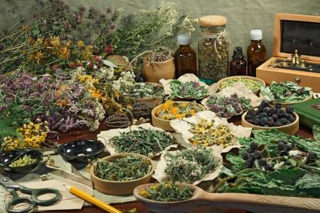 Usos de las plantas medicinales en fitoterapia Usos de las plantas medicinales en fitoterapia