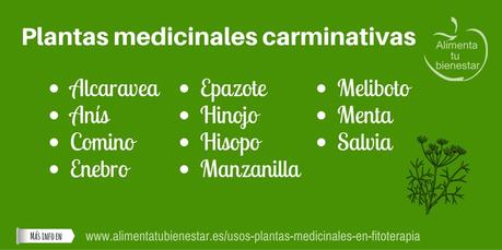Usos de las plantas medicinales en fitoterapia Usos de las plantas medicinales en fitoterapia