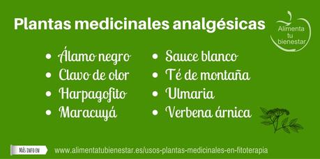 Usos de las plantas medicinales en fitoterapia Usos de las plantas medicinales en fitoterapia