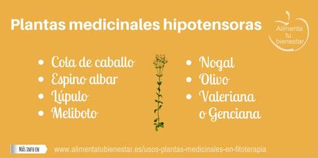 Usos de las plantas medicinales en fitoterapia Usos de las plantas medicinales en fitoterapia