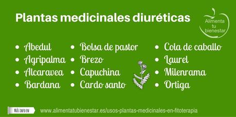 Usos de las plantas medicinales en fitoterapia Usos de las plantas medicinales en fitoterapia