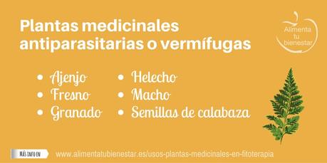 Usos de las plantas medicinales en fitoterapia Usos de las plantas medicinales en fitoterapia