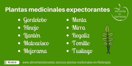 Usos de las plantas medicinales en fitoterapia Usos de las plantas medicinales en fitoterapia