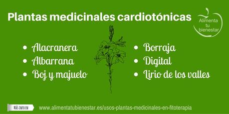 Usos de las plantas medicinales en fitoterapia Usos de las plantas medicinales en fitoterapia