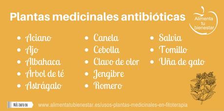 Usos de las plantas medicinales en fitoterapia Usos de las plantas medicinales en fitoterapia