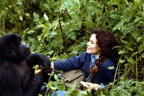 Mujeres cool, por Quique Artiach: Dian Fossey