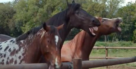 Lo mejor que podemos hacer es reír Lo mejor que podemos hacer es reír