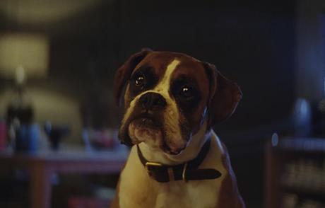 Un perro que salta en una cama elástica, protagonista del anuncio navideño de John Lewis #BusterTheBoxer